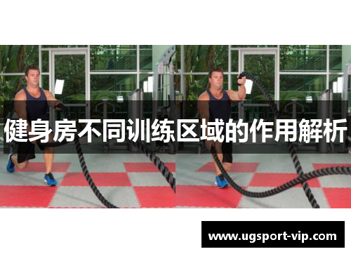 健身房不同训练区域的作用解析
