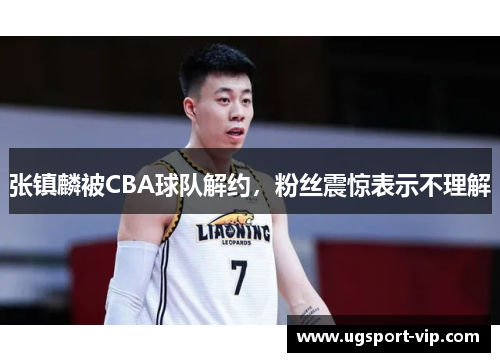 张镇麟被CBA球队解约，粉丝震惊表示不理解